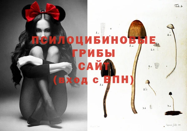 марки lsd Арсеньев