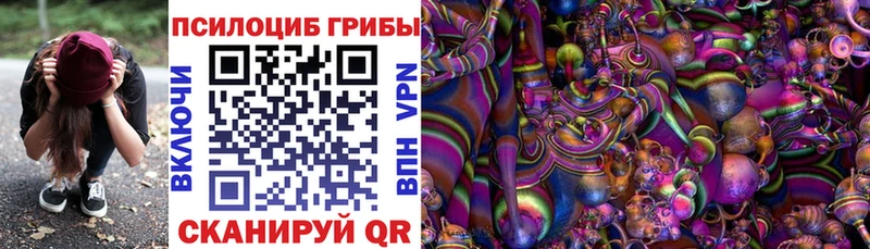 Галлюциногенные грибы мухоморы блэк спрут ссылки Хотьково купить закладку