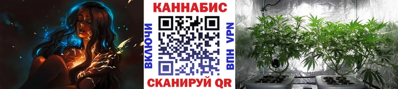 Шишки марихуана AK-47 Хотьково